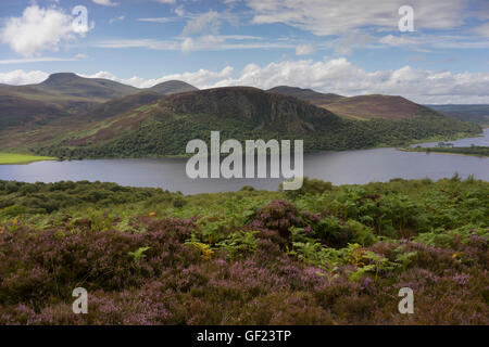 Carrol Rock in Strath Brora, Est Sutherland la Scozia e Loch Brora su un soleggiato blue sky summer day con la fioritura heather Foto Stock