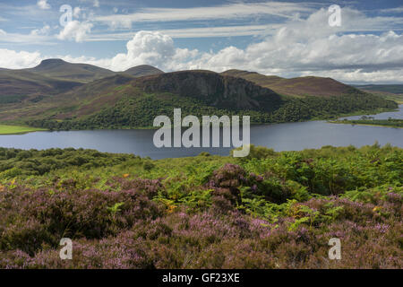 Carrol Rock in Strath Brora, Est Sutherland la Scozia e Loch Brora su un soleggiato blue sky summer day con la fioritura heather Foto Stock