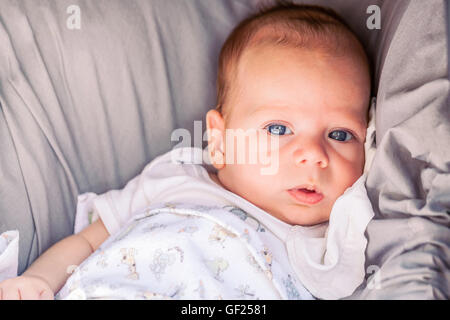 Ritratto di carino a 4 mese Baby Boy con potenti occhi blu seduta nel passeggino Foto Stock