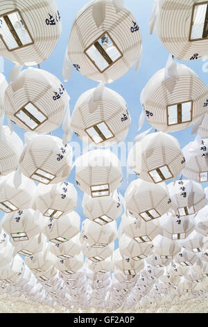 Bianco lanterne di carta è vista dal di sotto al Tempio Bongeunsa a Seul, Corea del Sud, celebrando il Buddha il compleanno. Foto Stock