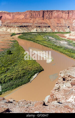 Il Green River, White Rim Trail, il Parco Nazionale di Canyonlands, Utah Foto Stock