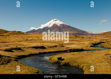 Entrata Nord del Parco Nazionale di Cotopaxi, sullo sfondo il vulcano e lo streaming in primo piano Foto Stock