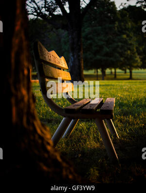 Panchina di legno vuota in un parco circondata da alberi verdi Foto Stock