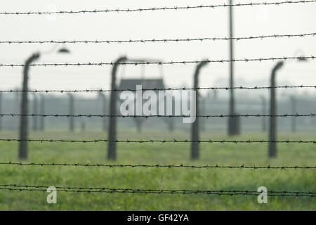 Auschwitz, Polonia. 29 Luglio, 2016. Oswiecim, Polonia. 29 Luglio, 2016. Filo spinato intorno al giardino dell'ex nazista di sterminio di Auschwitz-Birkenau camp in Polonia, raffigurato in occasione della visita del Papa venerdì 29 luglio 2016. Foto: Armin Weigel/dpa/Alamy Live News Credito: dpa picture alliance/Alamy Live News Foto Stock