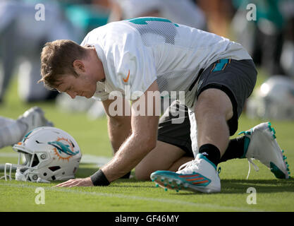 Davie, Florida, Stati Uniti d'America. 29 Luglio, 2016. Miami Dolphins quarterback Ryan Tannehill (17) si estende ai delfini di Miami training camp in Davie, Florida il 29 luglio 2016. © Allen Eyestone/Palm Beach post/ZUMA filo/Alamy Live News Foto Stock