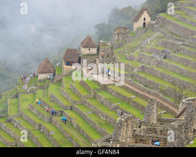 I terrazzamenti agricoli di Machu Picchu Foto Stock