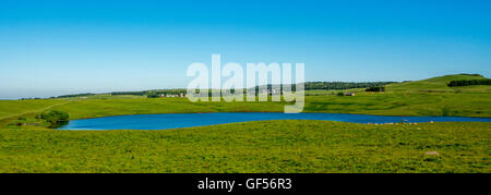 Lago dei monaci a Aubrac, Aveyron, Languedoc-Roussillon-Midi-Pyrénées, Francia, Europa Foto Stock