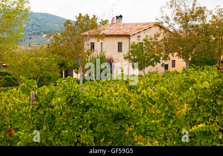 Casa Vigna e vicino alla città di Montefalco in Umbria, Italia Foto Stock