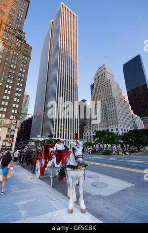 Central Park a cavallo in Carrozza a Manhattan New York Foto Stock