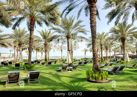 I lettini sul prato verde e il palm tree di ombre in un lussuoso hotel di Dubai, Emirati arabi uniti Foto Stock