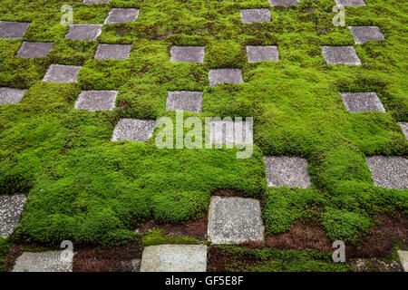 Giardino settentrionale, Tofukuji Hojo, una delle più esclusive di giardini in Giappone. Foto Stock