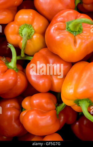 Una pila di prodotti freschi, maturi il peperone rosso (Capsicum annuum) Foto Stock