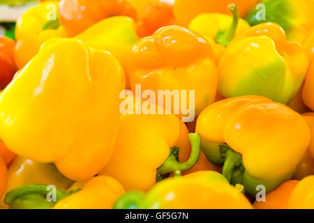 Un mucchio di fresco, gialla matura peperoni (Capsicum annuum) Foto Stock
