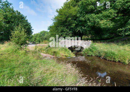 Del rapinatore Bridge crossing Weir acqua sul Parco Nazionale di Exmoor in Somerset Foto Stock