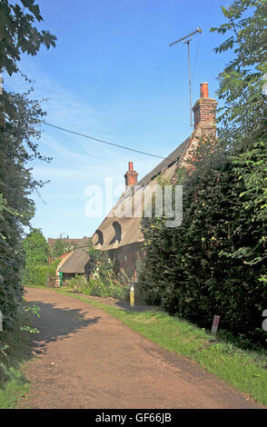 Un tradizionale cottage con tetto in paglia in un vicolo del paese su Norfolk Broads a South Walsham, Norfolk, Inghilterra, Regno Unito. Foto Stock