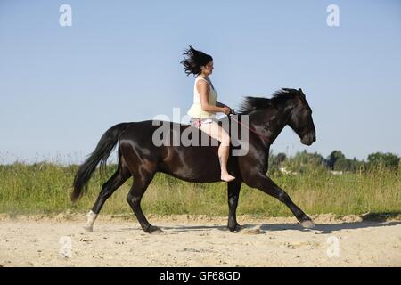 La donna corse Warmblood pesanti Foto Stock