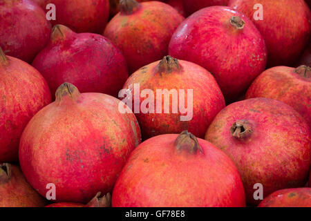 Melograno, grenadine frutta - pila di melograni Foto Stock