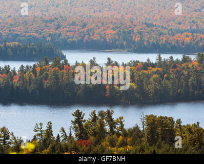 America del nord, Canada Ontario, Algonquin Provincial Park, i colori autunnali Foto Stock