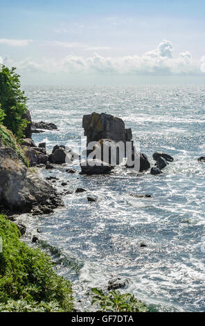 Sea Wave attacca i massi della costa rocciosa ed è rotto su di loro su sunrise Foto Stock