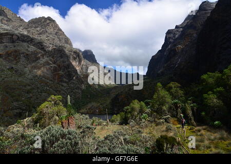 Wild Kitandara valle, lungo il sentiero di Kilembe, Rwenzori Mountains National Park Foto Stock