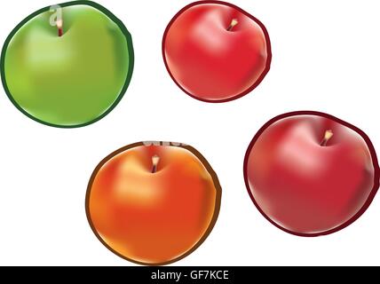 Set di mele isolati su sfondo bianco. Illustrazione Vettoriale