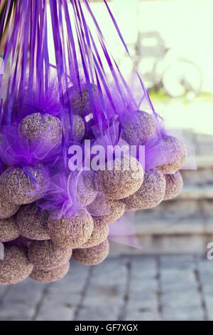 Dono di lavanda sull'isola di Hvar Foto Stock