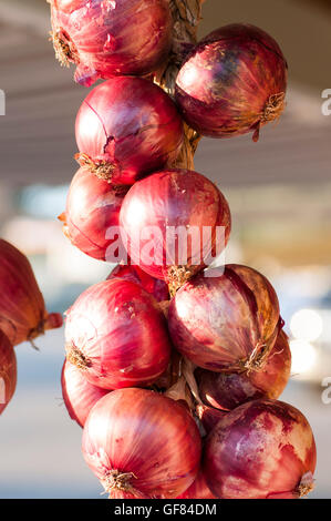 Close-up di cipolle rosse appese da un mercato Foto Stock