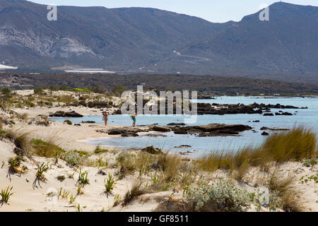 Elafonisi spiaggia, sulla costa occidentale di Creta, Provincia di Chania, Foto Stock