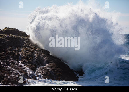 Un potente onda dall'Oceano Pacifico si blocca contro il drammatico Sonoma Coast di scenic California del nord. Foto Stock