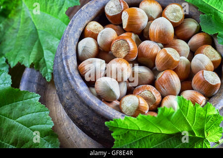 Le nocciole in tondo rustico ciotola di argilla su sfondo di legno, circondato da foglie Foto Stock