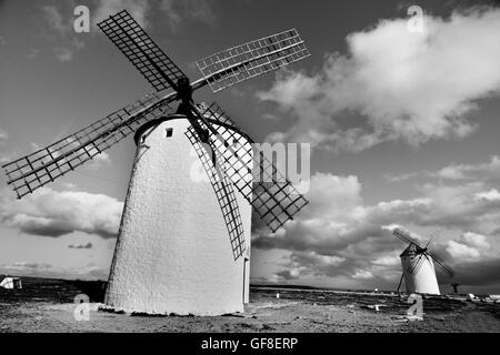 Alcune tradizionali mulini a vento bianco in Campo de Criptana, Spagna, in bianco e nero Foto Stock