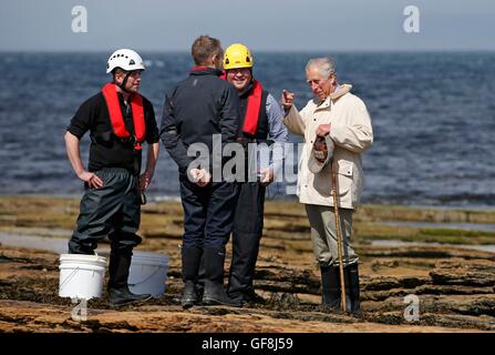 Il Principe di Galles, noto come il Duca di Rothesay mentre in Scozia, passeggiate sulla spiaggia vicino castello Mey, con le attività di ricerca e sviluppo ben coordinatore Marinaio (sinistra), direttore Peter Elbourne e operations director Tom McGee (a destra), dalla nuova onda alimenti, una nuova azienda in base a Wick, harvest alghe commestibili. Foto Stock