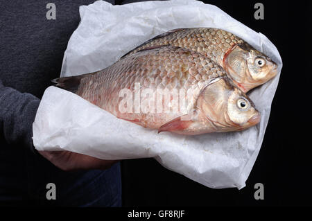 Uomo con fresche di carassi impilate su carta Foto Stock