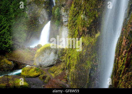 Wahclella Falls, chiamato anche Tanner Creek Falls. Columbia River Gorge National Scenic Area, Oregon Foto Stock