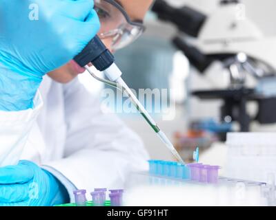 Proprietà rilasciato. Modello rilasciato. La preparazione di fiale di campione. Lavoratore di laboratorio il pipettaggio di liquido in una fiala eppendorf. Questo tipo di apparecchiatura è utilizzata in una vasta gamma di lavoro in laboratorio da analisi del DNA (acido desossiribonucleico) e altri campioni, a med Foto Stock