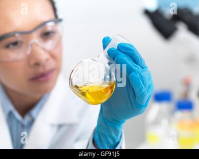 Proprietà rilasciato. Modello rilasciato. Scienziato preparando una formula chimica in un pallone di vetro in un laboratorio. Foto Stock