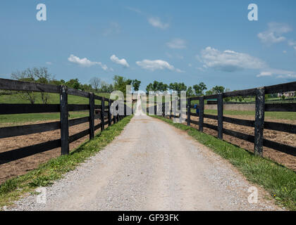 Basso angolo di ghiaia Farm Road tra black fence Foto Stock