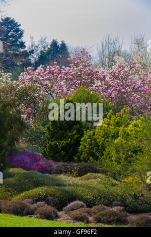 Sir Harold Hillier giardini. Romsey, Hampshire, Inghilterra. Foto Stock