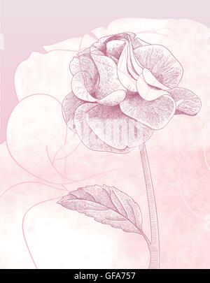 Disegnata a mano delicata rosa su sfondo rosa Illustrazione Vettoriale