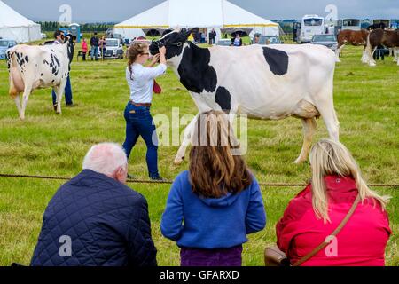 Carnwath, South Lanarkshire, Regno Unito Carnwath spettacolo agricolo, South Lanarkshire, Regno Unito. Il 30 luglio, 2016. Una famiglia guardare il bestiame a giudicare alla mostra di credito anello: Andrew Wilson/Alamy Live News Foto Stock