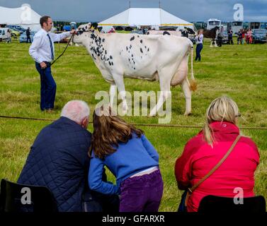 Carnwath, South Lanarkshire, UKCarnwath spettacolo agricolo, South Lanarkshire, Regno Unito. Il 30 luglio, 2016. Una famiglia guardare il bestiame a giudicare alla mostra di credito anello: Andrew Wilson/Alamy Live News Foto Stock