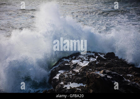 Delle onde dell'Oceano Pacifico crash contro il roccioso Sonoma Coast di scenic California del nord. Foto Stock