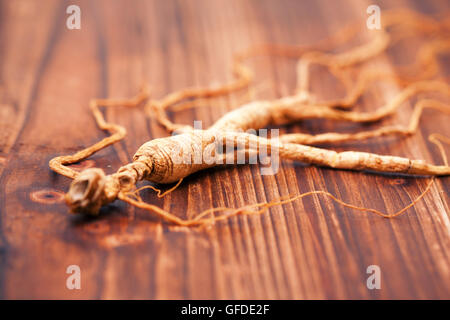 Il Ginseng a secco su un sfondo di legno Foto Stock