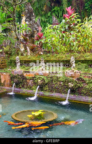 Molle di santo a Pura Gunung Kawi tempio, Bali, Indonesia Foto Stock