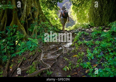 Tourist trekking attraverso la foresta tropicale, Bali, Indonesia Foto Stock