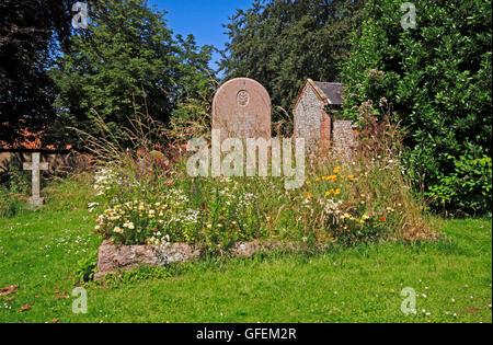 Una vista di una tomba con una profusione di fiori selvatici nel sagrato a Langham, Norfolk, Inghilterra, Regno Unito. Foto Stock