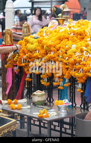 Arancione e giallo fiori di tagete.tagete sfondo. Prepararsi per la preghiera al tempio buddista o indù in Thailandia Foto Stock