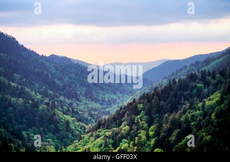 Le foreste ricoprono il Parco Nazionale di Great Smoky Mountains visto da Morton si affacciano, Tennessee, Stati Uniti d'America. Parte della Appalachian Range Foto Stock