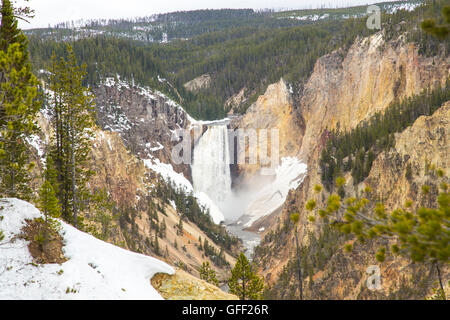 La cascata nel Parco Nazionale di Yellowstone USA Foto Stock