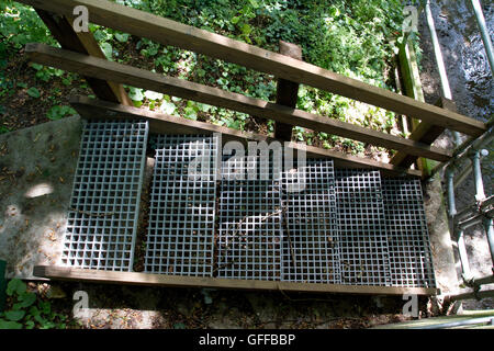 Griglia metallica gradini e ringhiere in legno che danno accesso al fiume il monitoraggio tramite l'Agenzia per l'ambiente Foto Stock